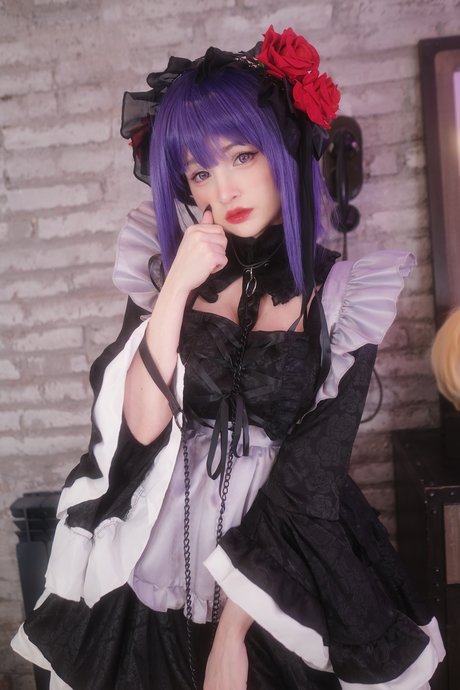 Hidori Rose