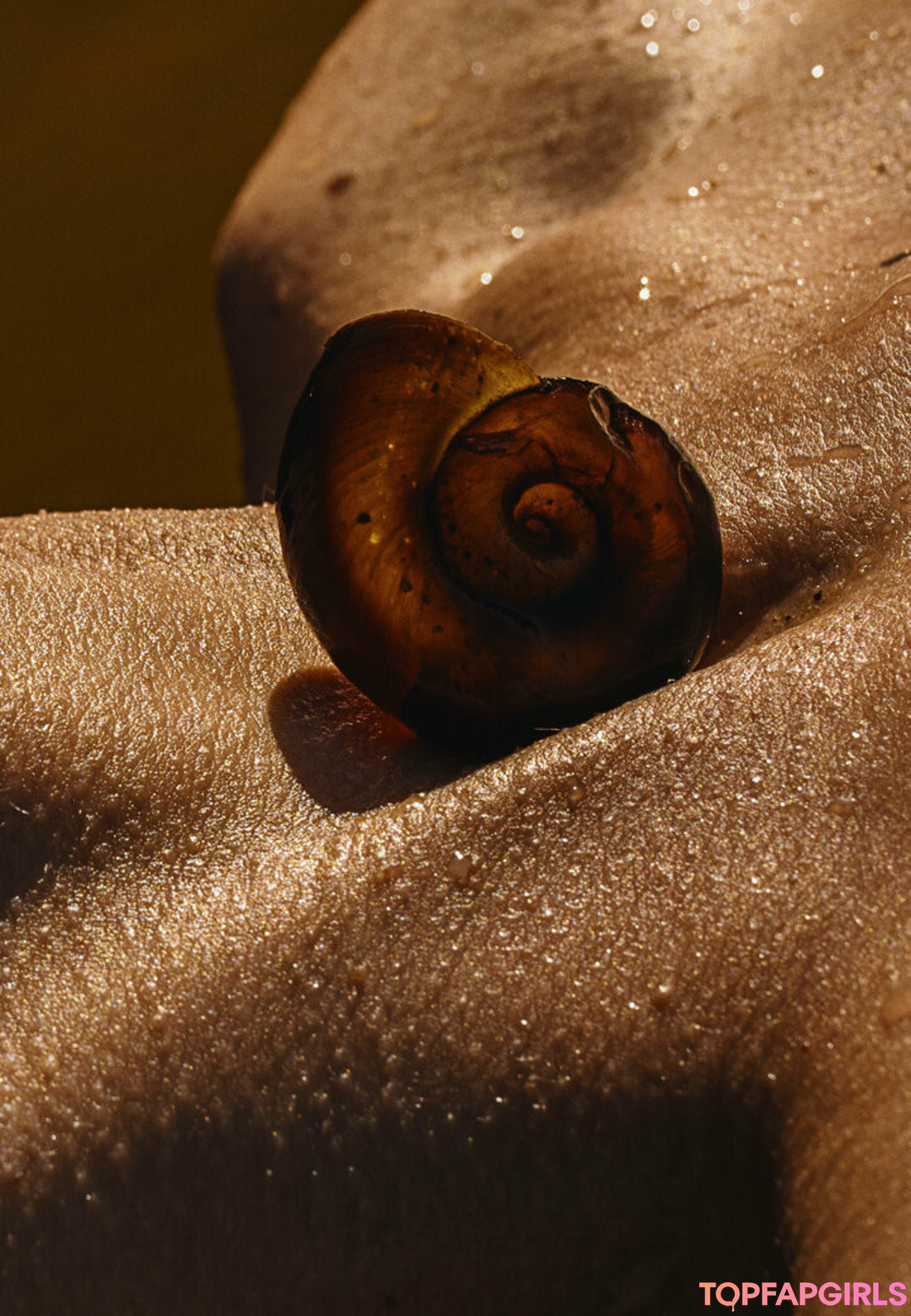 Foto di nudo di fuga di OnlyFans di Solomia Maievska #1804