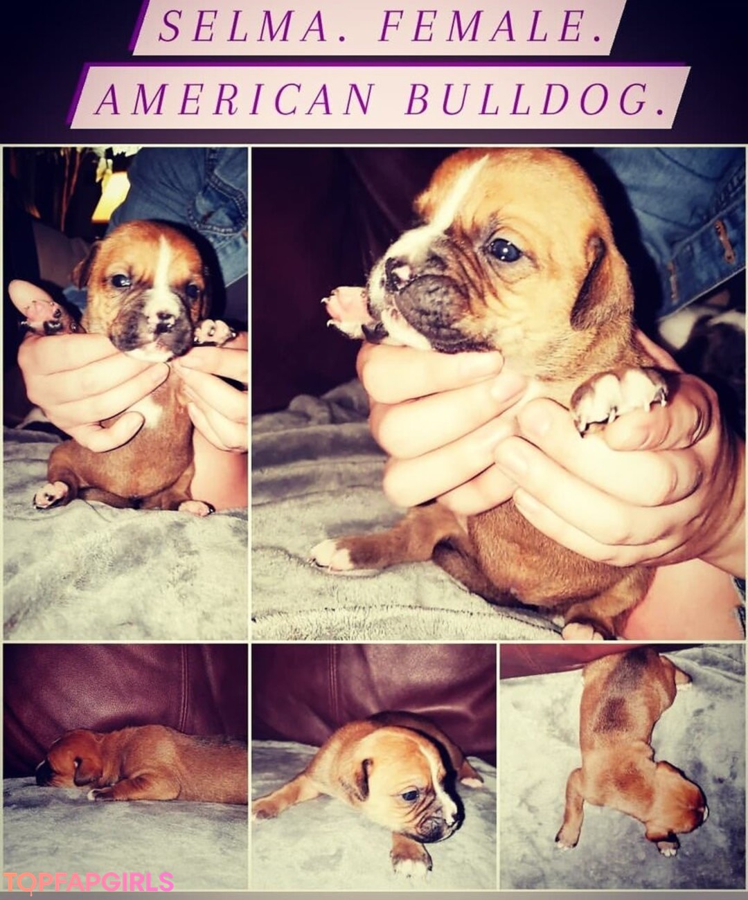 Foto di nudo di fuga di OnlyFans di Jessica #1382