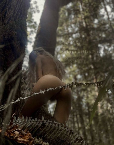 Foto di nudo di fuga di OnlyFans di Lady Willow Wood