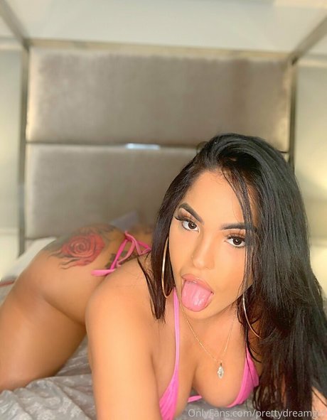 Foto di nudo di fuga di OnlyFans di Prettydreamgirl