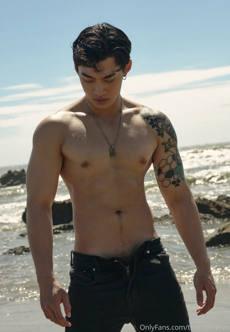 Foto di nudo di fuga di OnlyFans di Thetcornervn