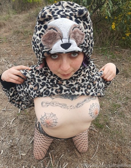 Gatitajavilun