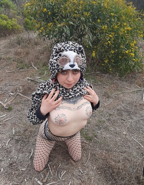 Gatitajavilun