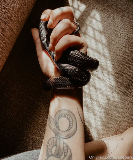 Foto di nudo di fuga di OnlyFans di Persephone27x