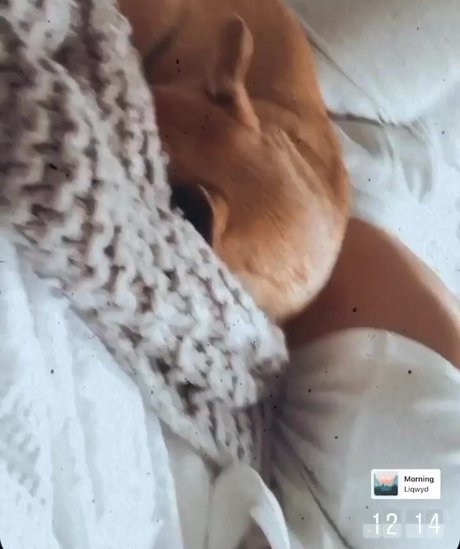 Foto di nudo di fuga di OnlyFans di Chloe C