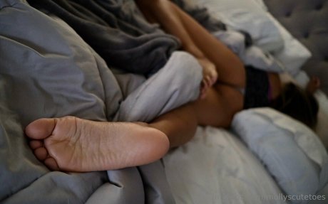 Mollyscutetoes