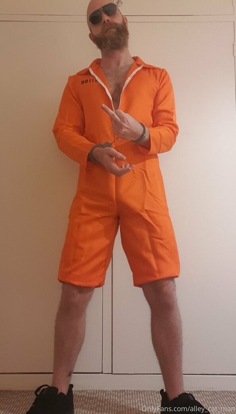 Alleycatman
