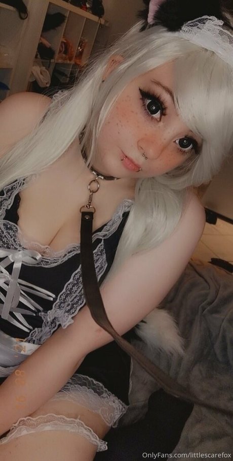 Foto di nudo di fuga di OnlyFans di Littlescarefox