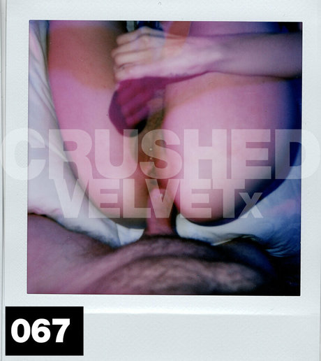 Foto di nudo di fuga di OnlyFans di Crushedvelvetx