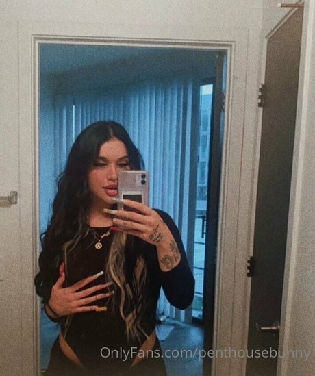 Penthousebunny
