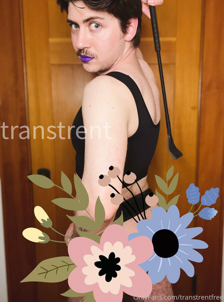 Transtrentfree