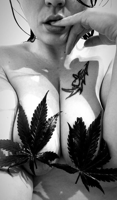 Nikkihippy