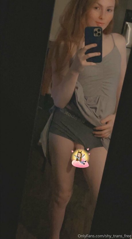 Shytransfree