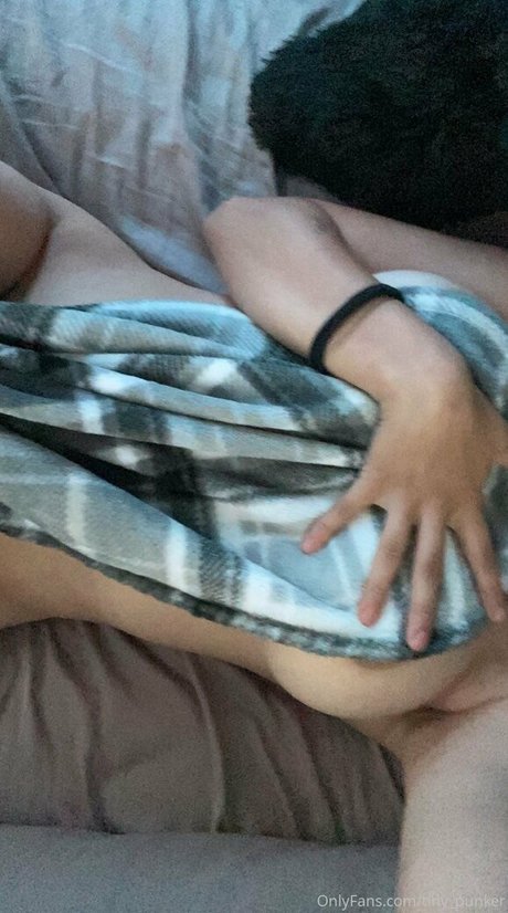 Foto di nudo di fuga di OnlyFans di Tinypunker