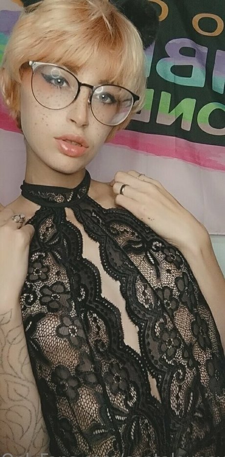 Cantaloupexo