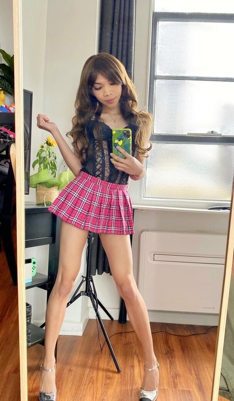 Sashimishush
