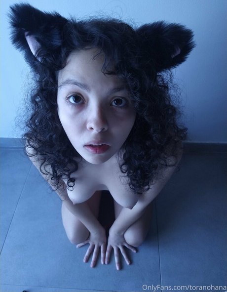 Foto di nudo di fuga di OnlyFans di Toranohana