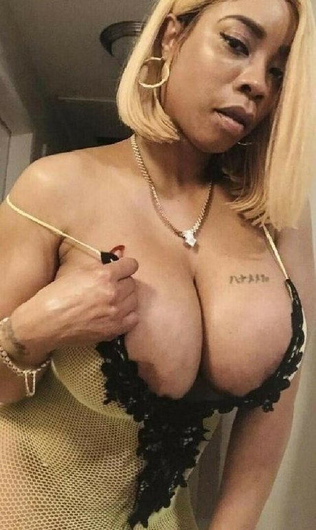 Realbrickhousebody