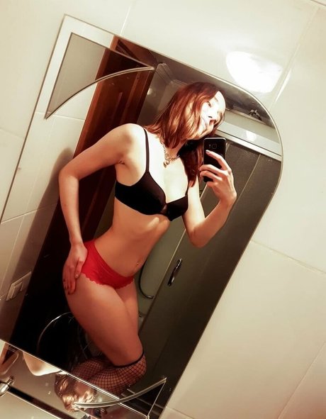 Evaholiday