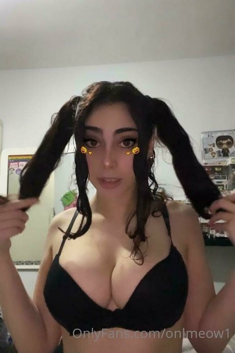 Foto di nudo di fuga di OnlyFans di Onlmeow1