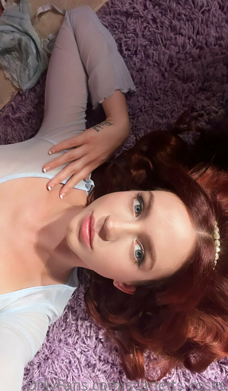 Haleysvision