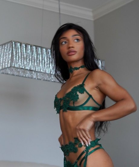 Taylorchamp