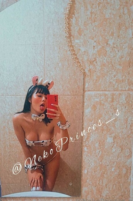 Foto di nudo di fuga di OnlyFans di Nekoprincess