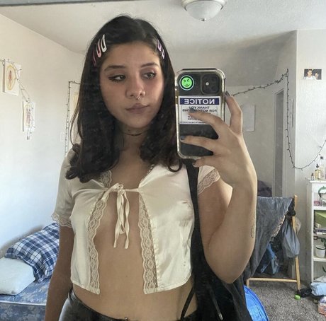 Palechubs