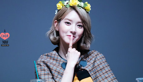 Aoa Team