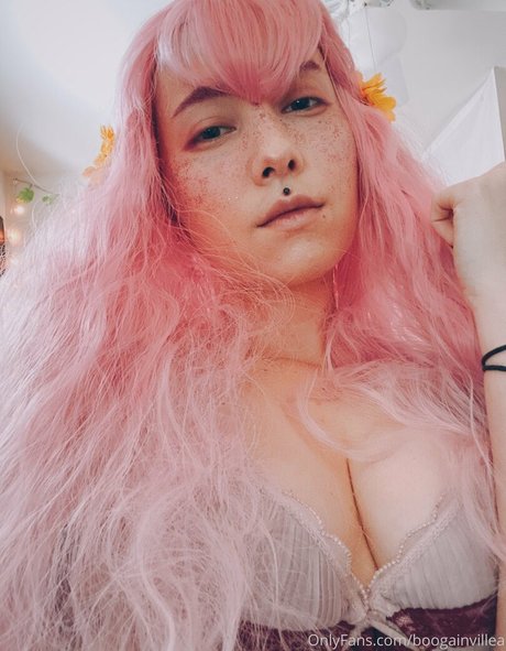 Boogainvillea
