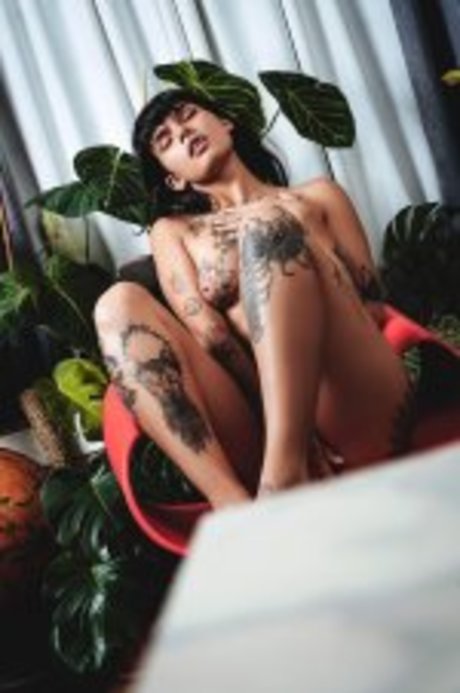Dakota Wilder
