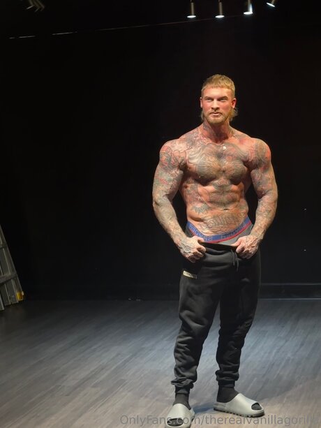 Therealvanillagorilla