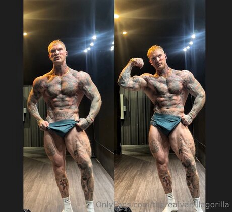 Therealvanillagorilla