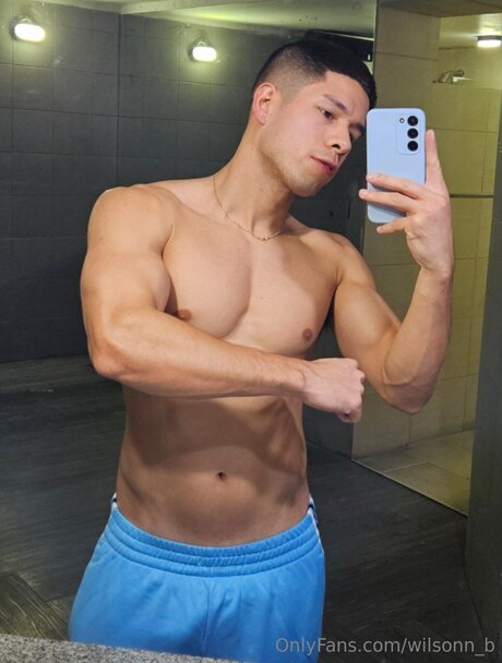 Foto di nudo di fuga di OnlyFans di Wilsonn B