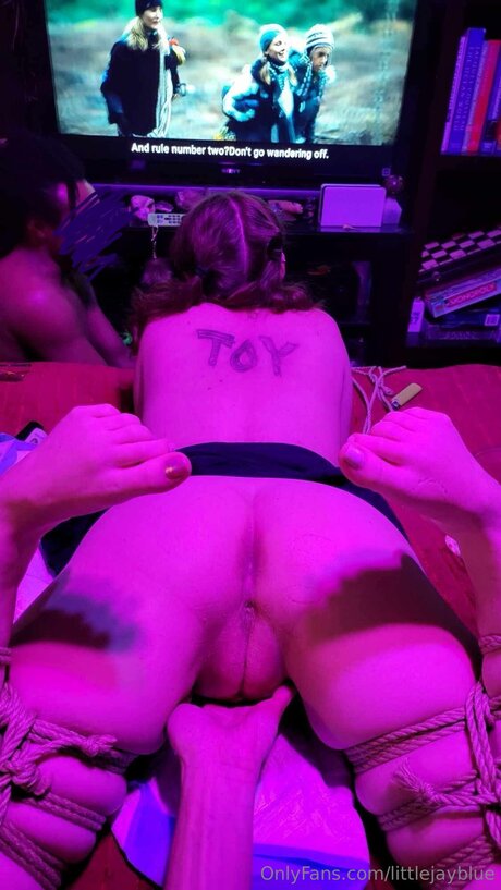 Littlejayblue