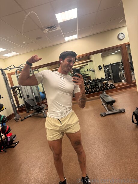 Joeysacco