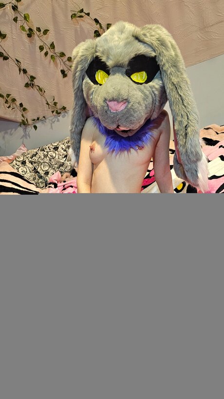 Foto di nudo di fuga di OnlyFans di Oliverthewabbit