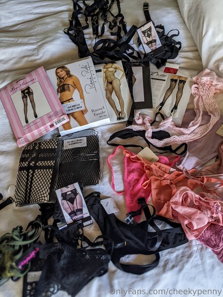 Foto di nudo di fuga di OnlyFans di Cheekypenny