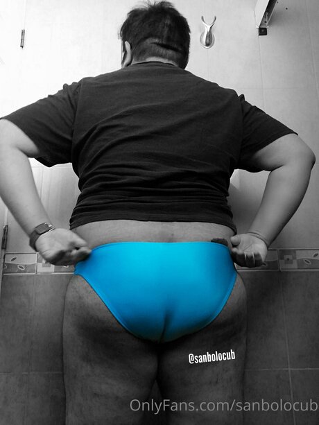 Sanbolocub