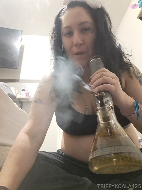 Trippykoala425