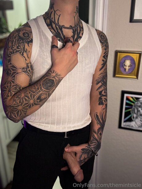 Foto di nudo di fuga di OnlyFans di Themintsicle