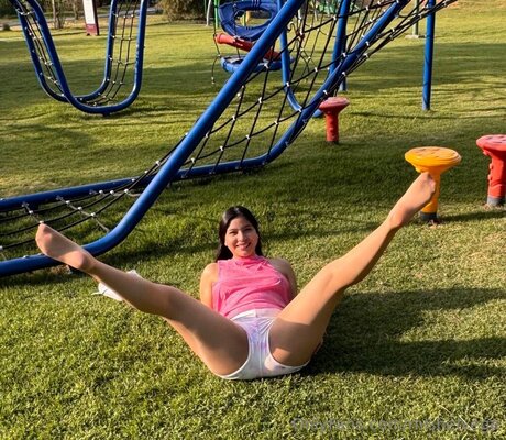 Mishelvega