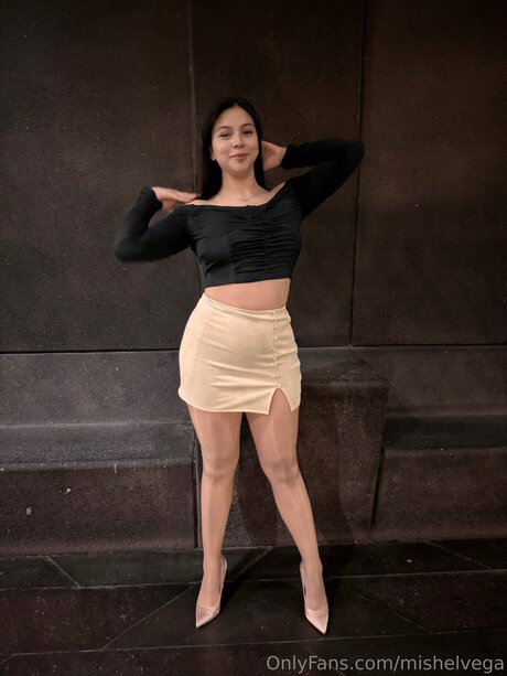Mishelvega