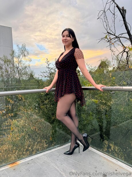 Mishelvega