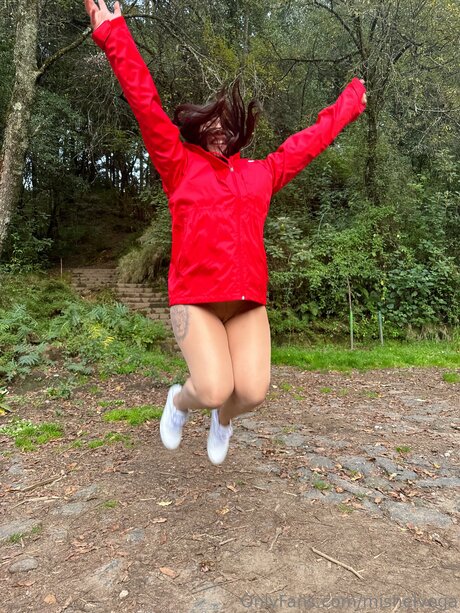 Mishelvega