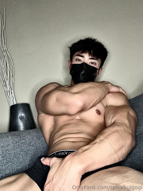 Foto di nudo di fuga di OnlyFans di Spicybulgogi