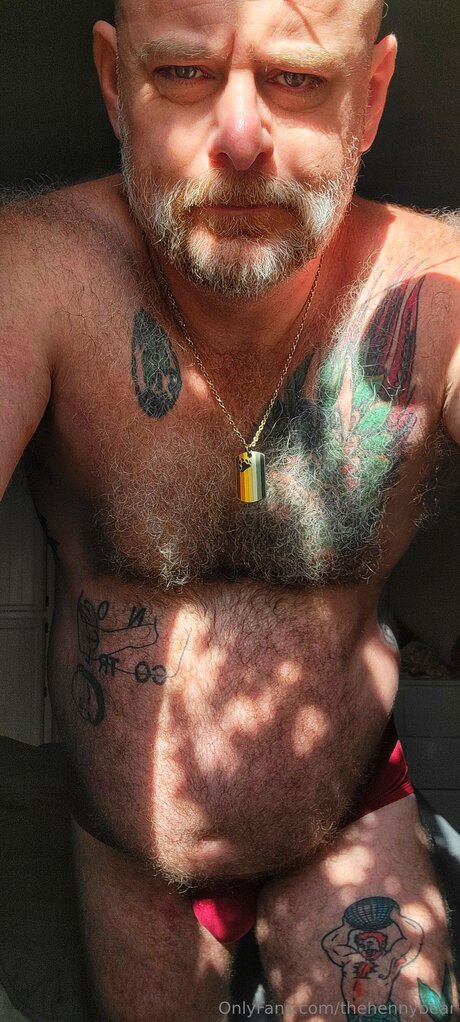 Thehennybear