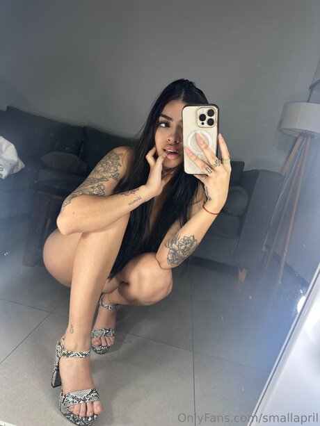 Foto di nudo di fuga di OnlyFans di Smallapril
