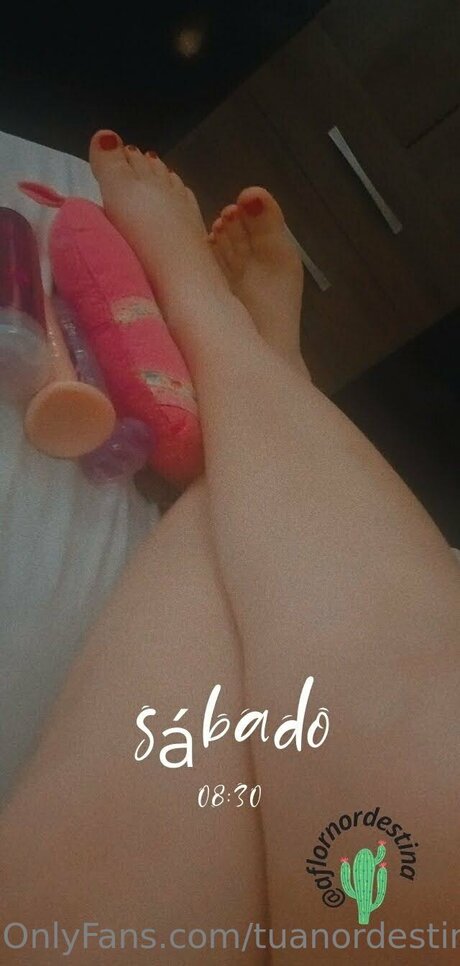 Foto di nudo di fuga di OnlyFans di Tuanordestina